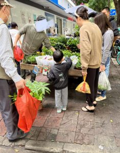 致富第一步，摆摊卖花卉绿植盆栽生意火-大源资源网