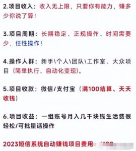 拆解外面卖1280的项目，匿名短信到底能不能赚钱呢？-大源资源网