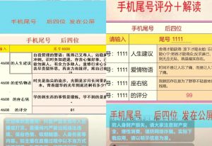 抖音新风口手机尾号项目思路，靠脚本就可以日入300+，玩法无私分享给你-大源资源网