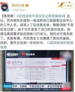 征信逾期修复项目，合法合规，分享给有缘人-大源资源网