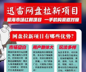 迅雷网盘拉新项目，通过短视频轻松引流，每月搞几个W-大源资源网