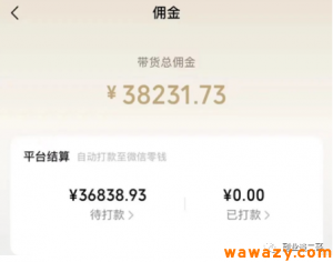 短视频带货：每月收入3万多的副业一部手机你也可以操作-大源资源网