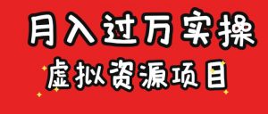 虚拟资源项目实操月入过万-大源资源网