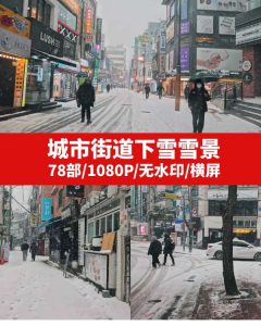 城市街道下雪雪景视频素材-大源资源网