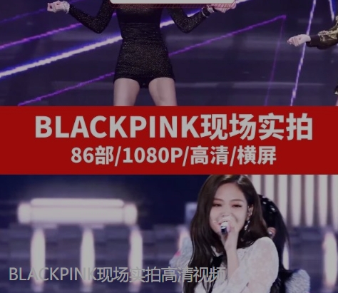 BLACKPINK现场实拍高清视频-大源资源网