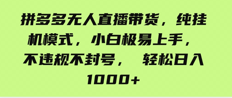 （9511期）拼多多无人直播带货，纯挂机模式，小白极易上手，不违规不封号， 轻松日…-大源资源网