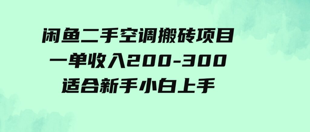 （9539期）闲鱼二手空调搬砖项目，一单收入200-300，适合新手小白上手-大源资源网