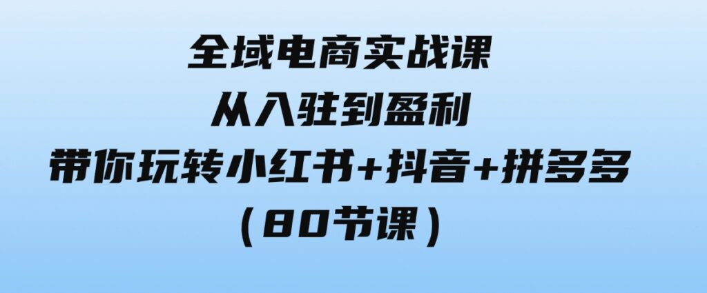 （9529期）全域电商实战课：从入驻到盈利，带你玩转小红书+抖音+拼多多（80节课）-大源资源网