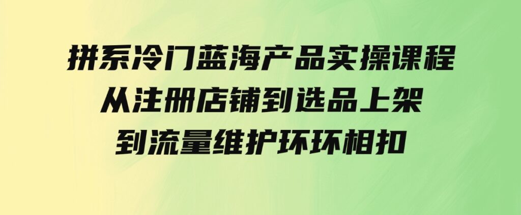 （9527期）拼系冷门蓝海产品实操课程，从注册店铺到选品上架到流量维护环环相扣-大源资源网