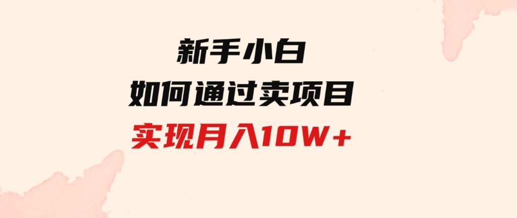 （9556期）新手小白如何通过卖项目实现月入10W+-大源资源网