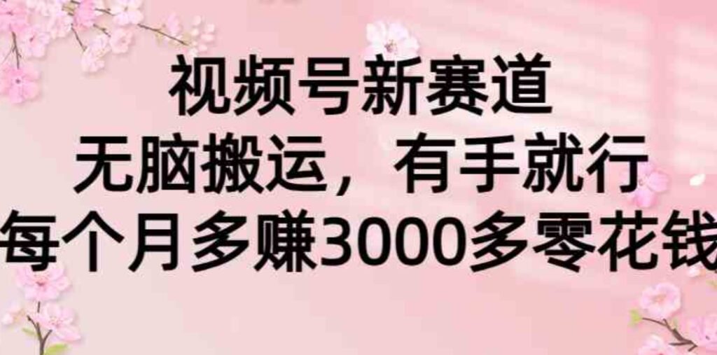 （9278期）视频号新赛道，无脑搬运，有手就行，每个月多赚3000多零花钱-海南千川网络科技