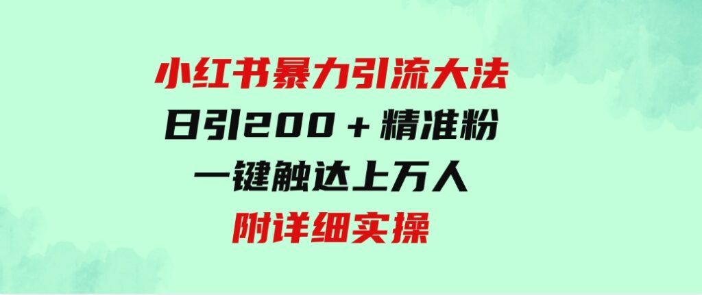 （9582期）小红书暴力引流大法，日引200＋精准粉，一键触达上万人，附详细实操-大源资源网