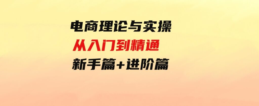 （9576期）电商理论与实操从入门到精通 新手篇+进阶篇-大源资源网