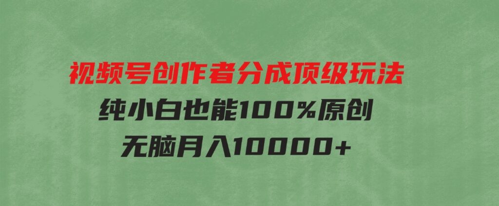 （9608期）视频号创作者分成顶级玩法，纯小白也能100%原创，无脑月入10000+-大源资源网