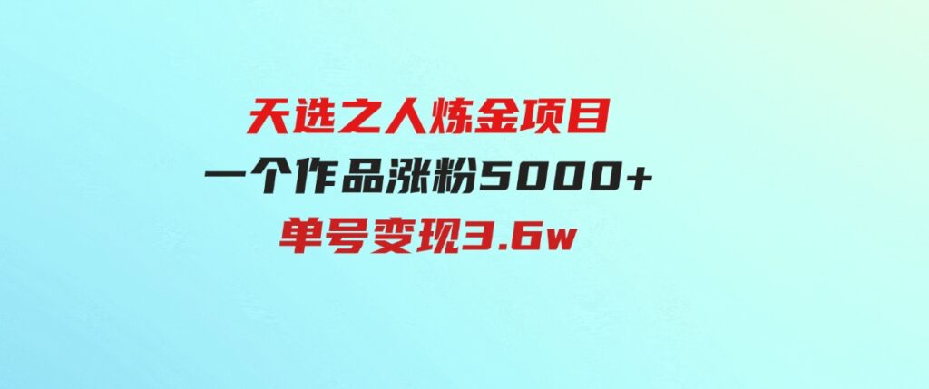 （9693期）天选之人炼金项目，一个作品涨粉5000+，单号变现3.6w-大源资源网