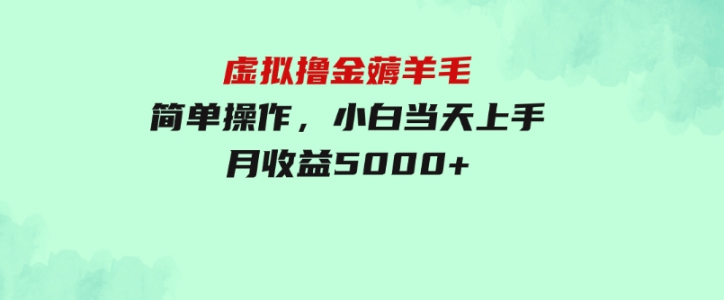 虚拟撸金薅羊毛，简单操作，小白当天上手，月收益5000+-大源资源网