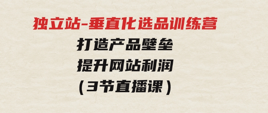 独立站-垂直化选品训练营，打造产品壁垒，提升网站利润（3节直播课）-大源资源网