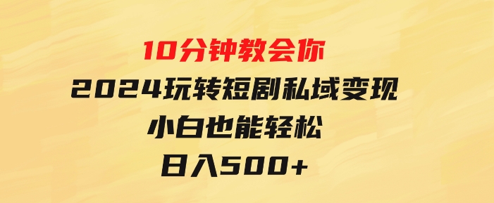 10分钟教会你2024玩转短剧私域变现，小白也能轻松日入500+-大源资源网