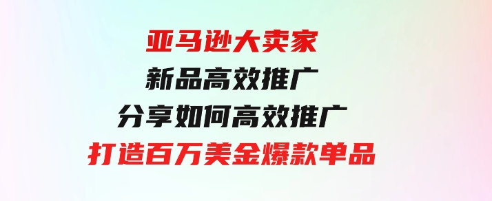 亚马逊 大卖家-新品高效推广，分享如何高效推广，打造百万美金爆款单品-大源资源网