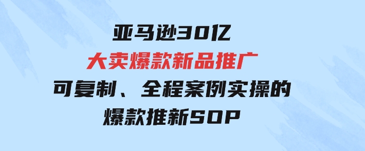 亚马逊30亿·大卖爆款新品推广，可复制、全程案例实操的爆款推新SOP-大源资源网