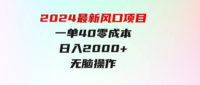 2024最新风口项目，一单40，零成本，日入2000+，无脑操作-大源资源网