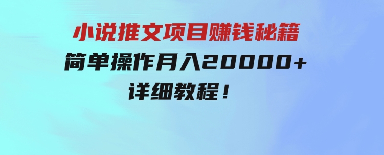 简单操作，月入20000+，详细教程！小说推文项目赚钱秘籍！-大源资源网