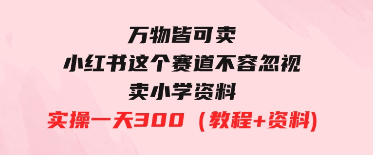 万物皆可卖，小红书这个赛道不容忽视，卖小学资料实操一天300（教程+资料)-大源资源网