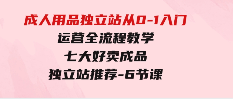 成人用品独立站从0-1入门，运营全流程教学，七大好卖成品独立站推荐-6节课-大源资源网