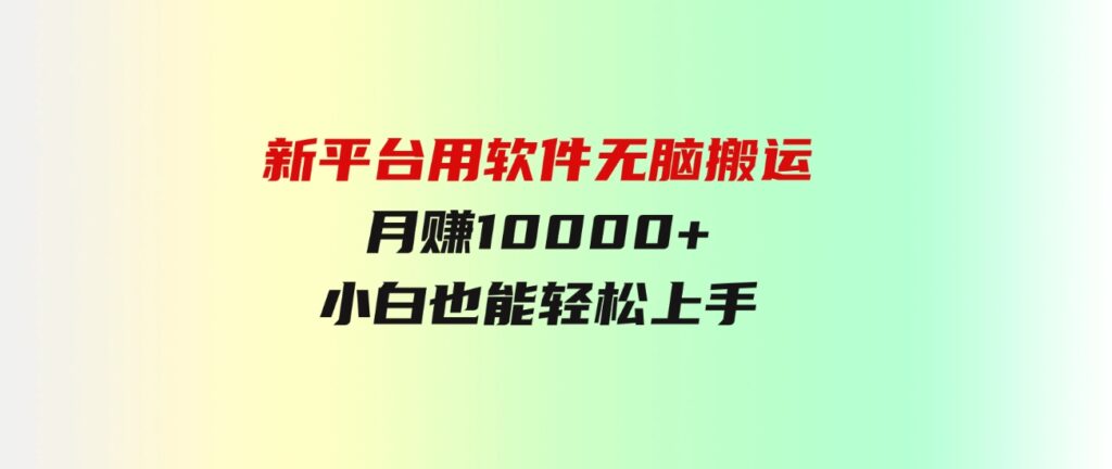 （9745期）新平台用软件无脑搬运，月赚10000+，小白也能轻松上手-大源资源网