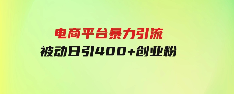 电商平台暴力引流,被动日引400+创业粉不发作品，不截流，不发私信-大源资源网