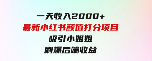 一天收入2000+，最新小红书颜值打分项目，吸引小姐姐，刷爆后端收益-大源资源网