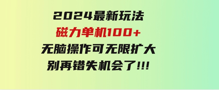 2024最新玩法，磁力单机100+，无脑操作，可无限扩大。别再错失机会了!!!-大源资源网