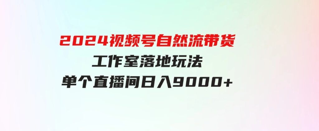 （9709期）【蓝海项目】2024视频号自然流带货，工作室落地玩法，单个直播间日入9000+-大源资源网