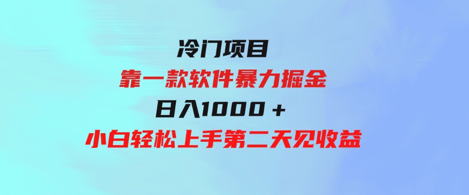 （9791期）冷门项目，靠一款软件暴力掘金日入1000＋，小白轻松上手第二天见收益-大源资源网