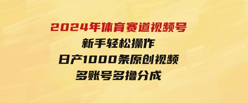 （9810期）2024年体育赛道视频号，新手轻松操作， 日产1000条原创视频,多账号多撸分成-大源资源网