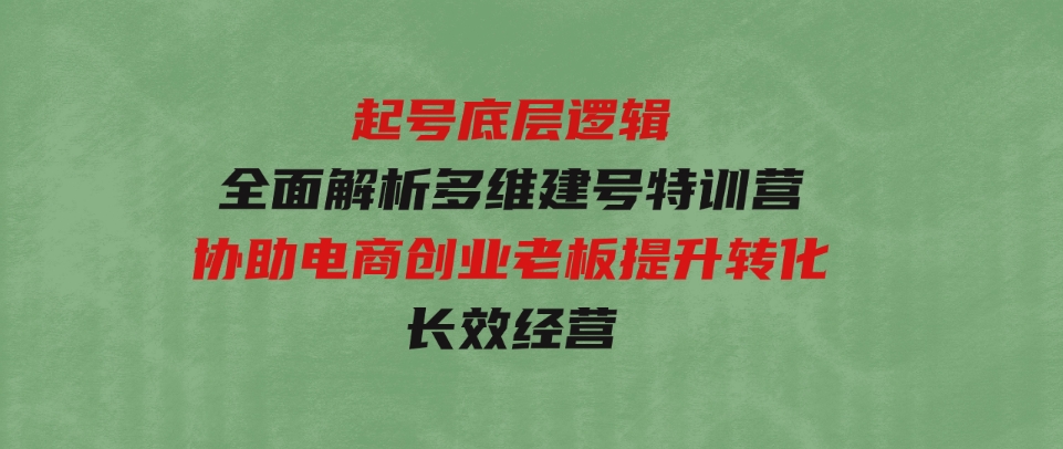 起号底层逻辑，全面解析多维 建号特训营，协助电商创业老板提升转化，长效经营-大源资源网