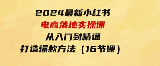 2024最新小红书电商落地实操课，从入门到精通，打造爆款方法（16节课）-大源资源网