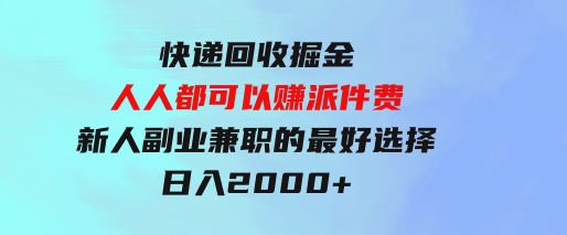 快递回收掘金，人人都可以赚派件费，新人副业兼职的最好选择，日入2000+-大源资源网