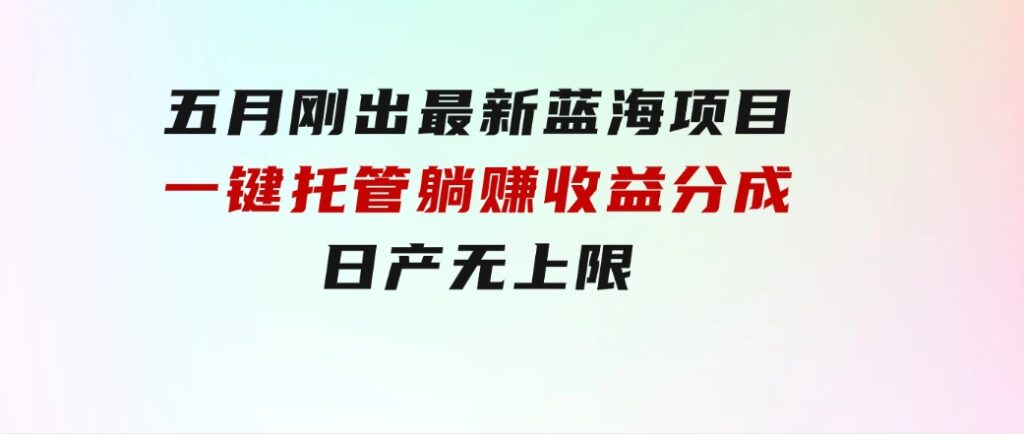 五月刚出最新蓝海项目一键托管 躺赚收益分成 日产无上限-大源资源网