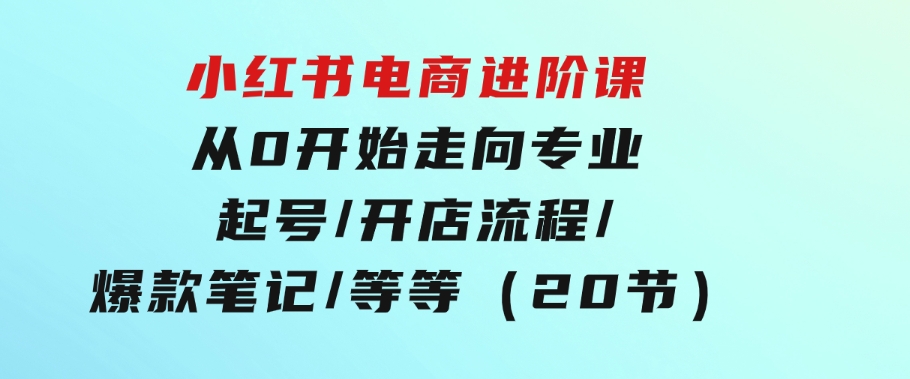 小红书电商进阶课：从0开始走向专业 起号/开店流程/爆款笔记/等等（20节）-大源资源网