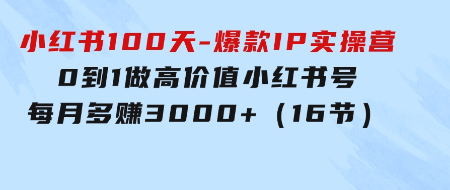 小红书100天-爆款IP实操营，0到1做高价值小红书号 每月多赚3000+（16节）-大源资源网