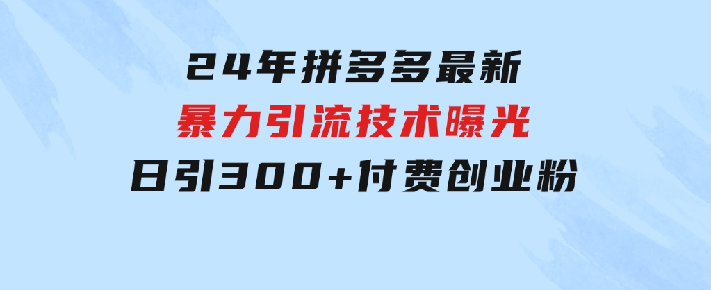 24年拼多多最新暴利引流技术曝光，日引300+付费创业粉，操作简单，流量…-大源资源网