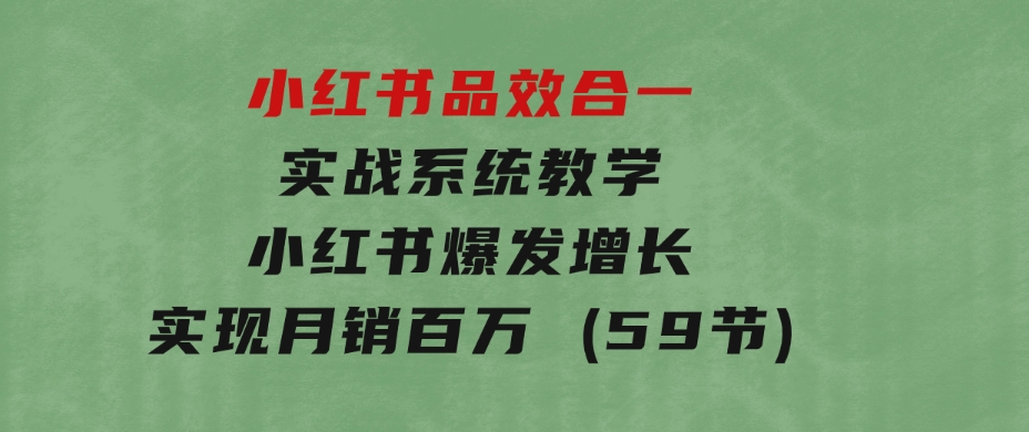 小红书 品效 合一实战系统教学：小红书爆发增长，实现月销百万 (59节)-大源资源网