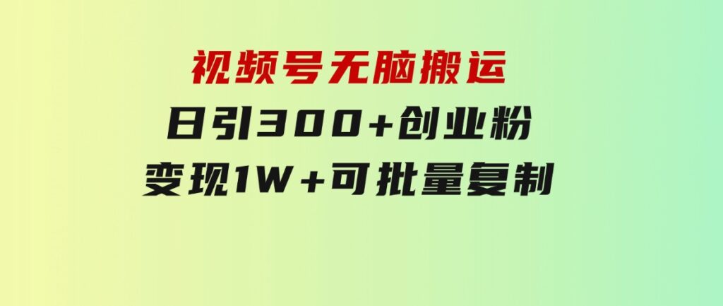 视频号无脑搬运日引300+创业粉，变现1W+可批量复制-大源资源网