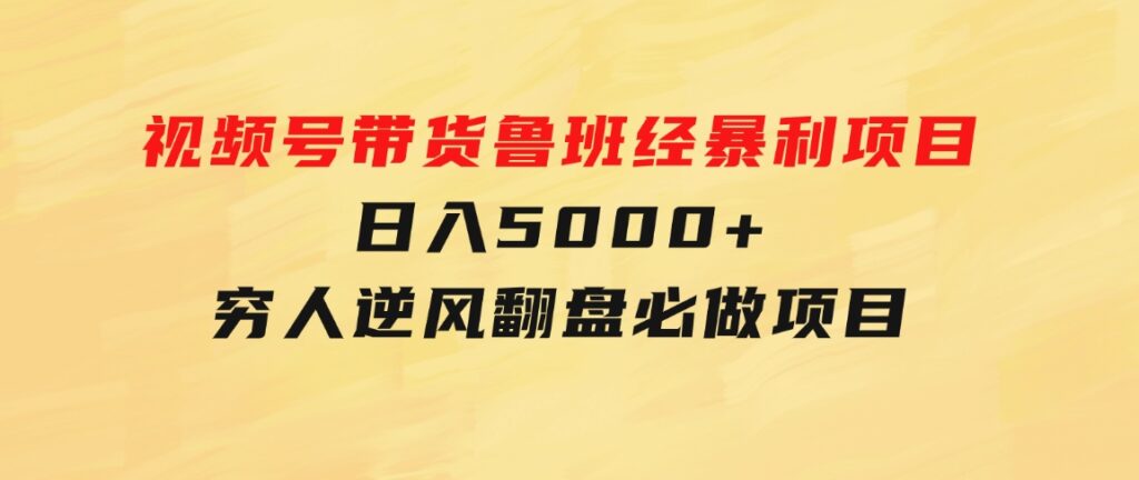 视频号带货鲁班经暴利项目，日入5000+，穷人逆风翻盘必做项目-大源资源网