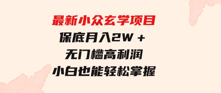 最新小众玄学项目，保底月入2W＋ 无门槛高利润，小白也能轻松掌握-大源资源网