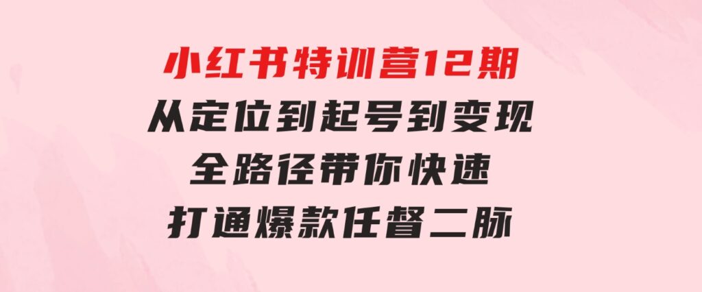 小红书特训营12期：从定位 到起号、到变现全路径带你快速打通爆款任督二脉-大源资源网