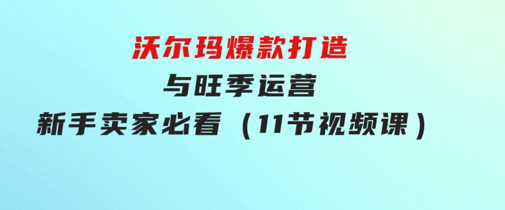 沃尔玛 爆款打造与旺季运营，新手卖家必看（11节视频课）-大源资源网