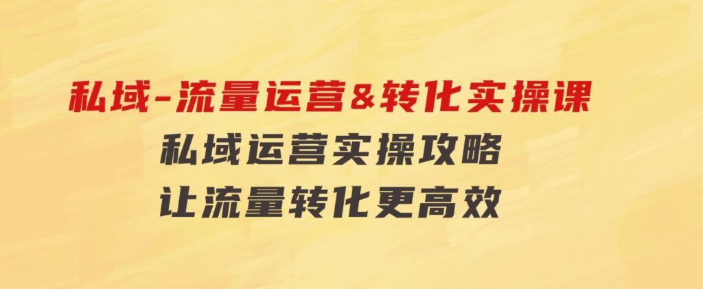 私域-流量 运营&转化实操课：私域 运营实操攻略 让流量转化更高效-大源资源网