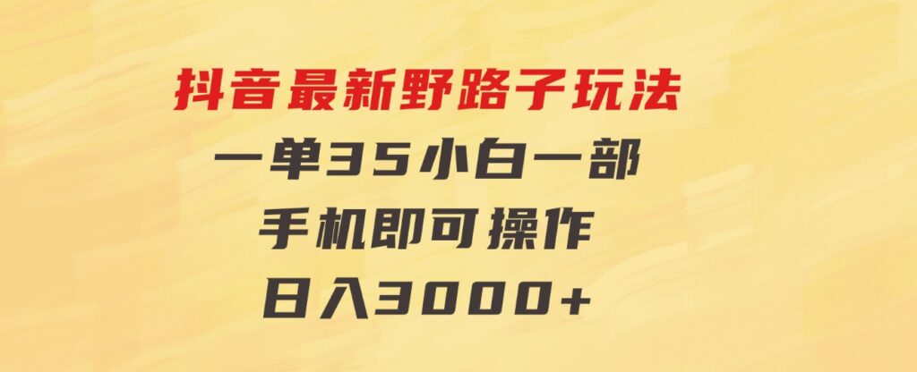 抖音最新野路子玩法，一单35，小白一部手机即可操作，，日入3000+-大源资源网